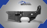 Anderson Stripped Lower Receiver